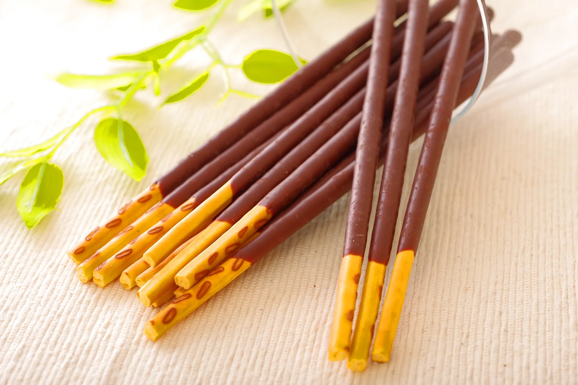 有限会社 ガーディアン・ズ